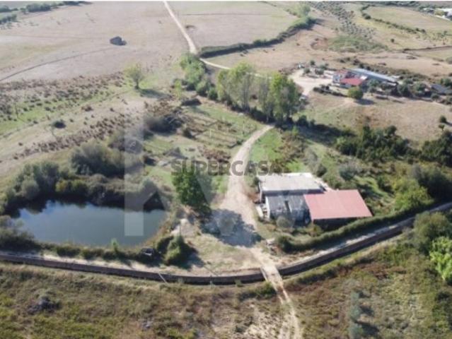 Herdade com cerca de 50ha em zona de Regadio do Ladoeiro Idanha a Nova