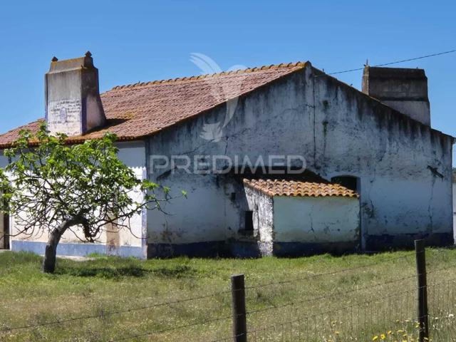 Herdade com elevado potencial de investimento em Pavia,Mora