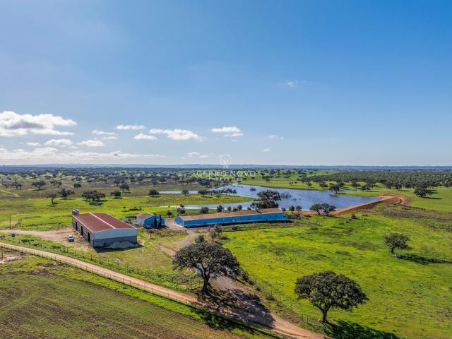 Herdade com Grande Potencial Agropecuário e Turístico no Baixo Alentejo