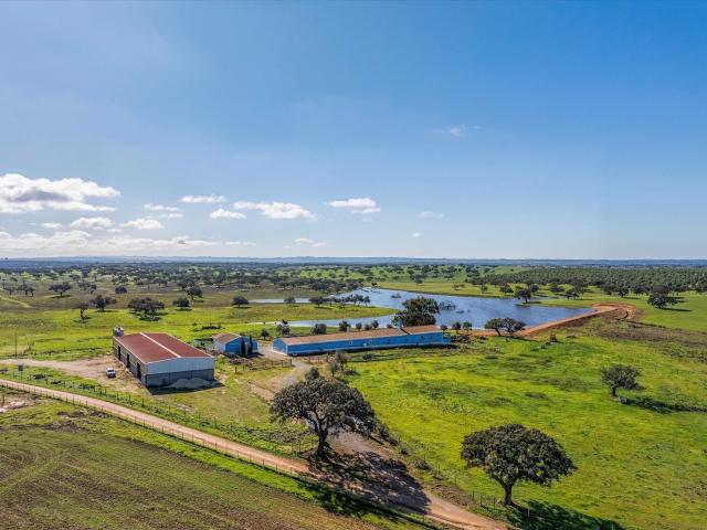 Herdade com Grande Potencial Agropecuário e Turístico no Bai. 733m² Ourique