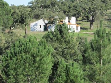 Mora, Concelho de Mora, Distrito de Évora