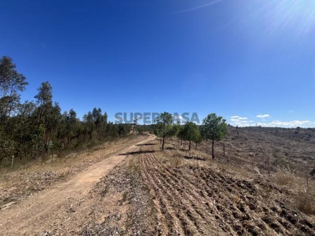 Herdade com ruina de 53m2 com 48 hactares