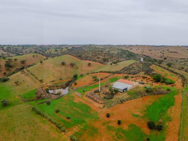Herdade com setenta e dois hectares em Vila Nova de são Bent. 90m² Aldeia Nova De São Bento