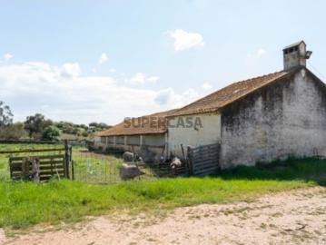 Herdade da Mancha Ativo Rural de Grande Escala com 149 Hectares no Alentejo