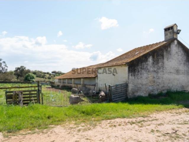 Herdade da Mancha Ativo Rural de Grande Escala com 149 Hectares no Alentejo