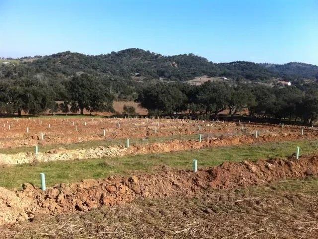 Herdade da Afeiteira