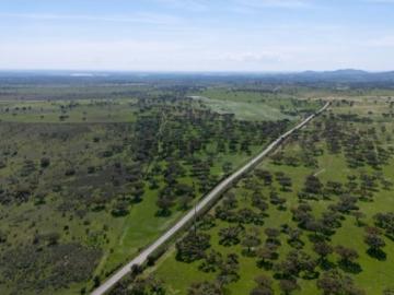 Herdade da Chamurreira de Baixo Ativo Rural Estratégico com 63 Hectares no Alentejo