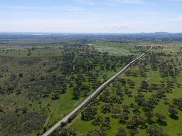 Herdade da Chamurreira de Baixo Ativo Rural Estratégico com 63 Hectares no Alentejo