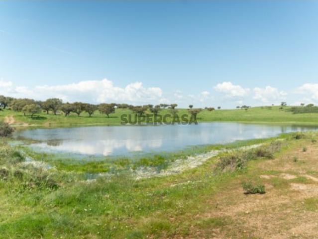 Herdade da Chamurreira de Cima 136 Hectares de Montado e Infraestruturas no Alentejo
