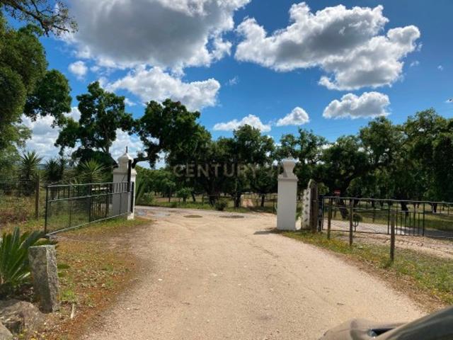 Herdade da Pedra Longa Um Património Único no Coração do Alentejo