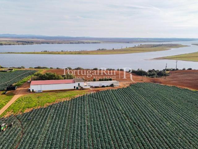 Herdade de regadio com 30 hectares em Évora 2500m² Évora São Mamede, Sé,São Pedro e Santo Antão