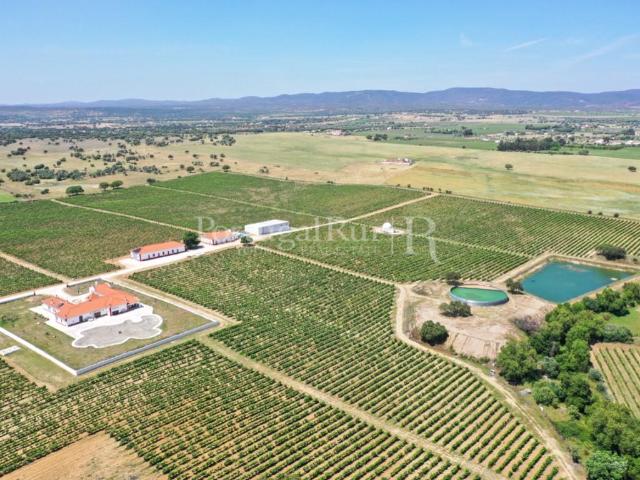 Herdade de vinha com 36 ha e agro turismo no Alentejo 2000m² Redondo