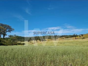 Relíquias, Odemira, Distrito de Beja