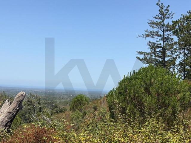 Herdade de 15,7 ha com Vista Mar e Potencial de Expansão | S. 40m² Santiago do Cacém, Santa Cruz e São Bartolomeu da Serra