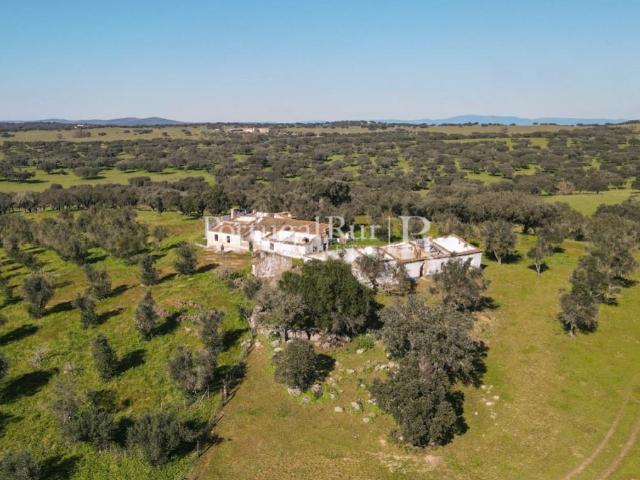 Herdade de 18 hectares perto de Estremoz 289m² Monforte