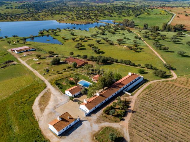 Herdade de 190 Hectares 16 Hectares de Vinha a 10 km do lago de Alqueva Alentejo, Portugal