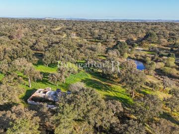 Herdade de 102 hectares com montado e Olival 300m² Ponte de Sor, Tramaga e Vale de Açor