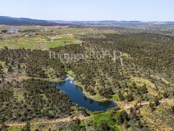 Herdade de 1.680 hectares com eucaliptal, ruínas e barragem 2412m² Terena são pedro