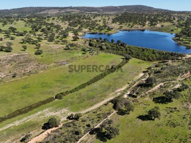 Herdade de 256ha de Montado de Azinho, Sobreiros, Oliveiras e Construçao Rural a 25km Castelo Branco