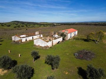 Herdade de 20 hectares com vinha e Pip 648m² Estremoz santa maria e santo andré