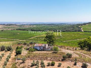 Herdade de 20,6 hectares com vinha e vocação turística 280m² Arcos