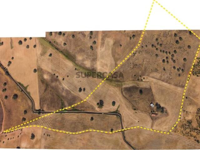 Herdade de 22 Hectares