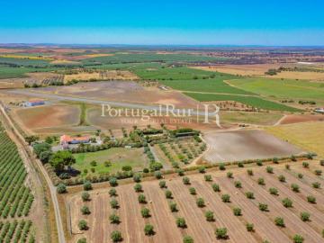 Herdade de 30ha com aeródromo certificado e excelente moradi. 470m² Ferreira do Alentejo e Canhestros