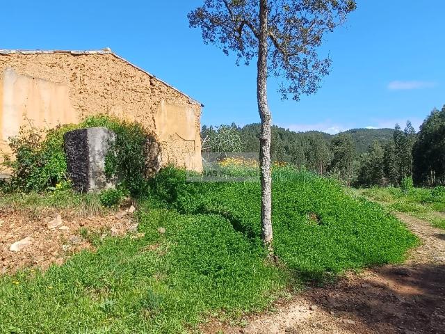 Herdade de 40 hectares com duas Ruinas