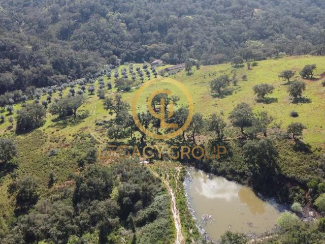 Herdade de 60 ha em Odemira