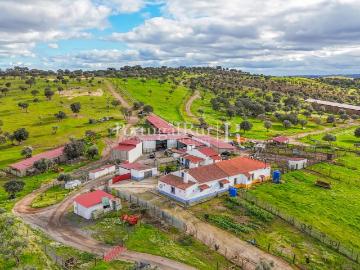 São Manços e São Vicente do Pigeiro, Concelho de Évora, Distrito de Évora