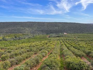 Alte, Loulé, Distrito de Faro, Algarve