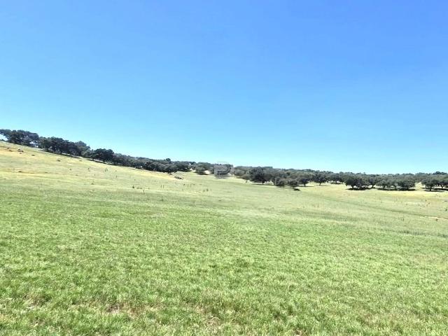 Herdade do Castelo Novo