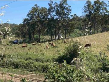 São Marcos da Serra, Concelho de Silves, Distrito de Faro, Algarve