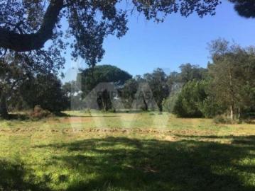 Águas de Moura, Poceirão e Marateca - Piscina