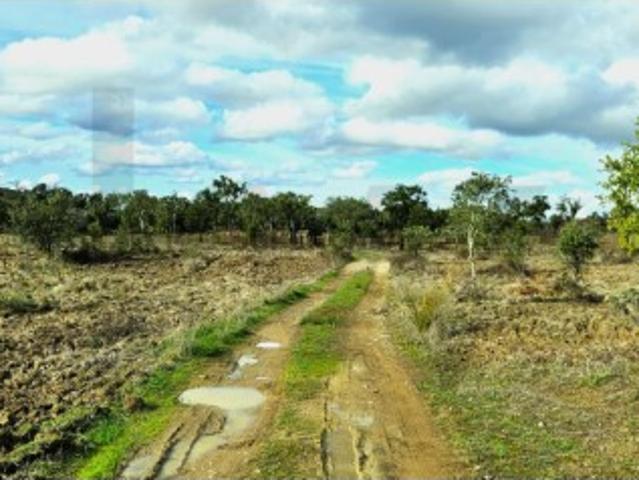 Herdade Exclusiva em Grândola: 35 Hectares, Vistas 360º e Viabilidade Construtiva Premium