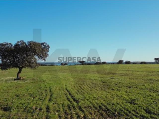 Herdade Exclusiva Junto à Barragem do Alqueva Investimento Turístico Imperdível!