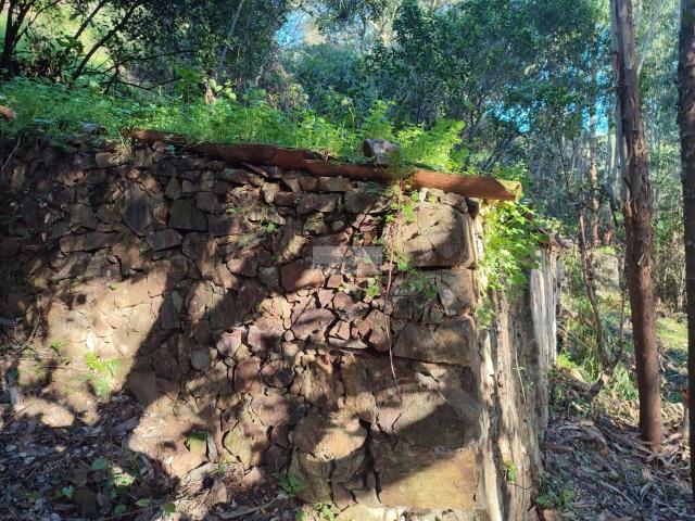 Herdade em Marmelete