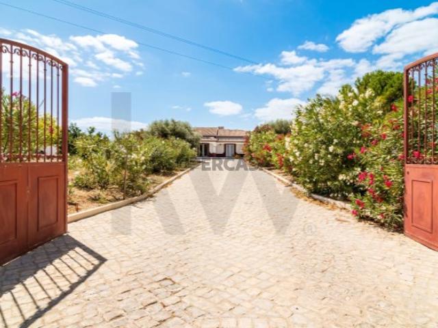 Herdade em Arroçadas Santarem 27.360m2