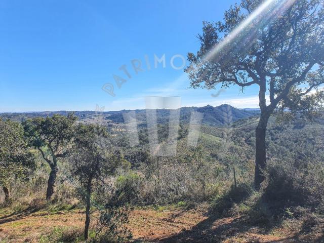 Herdade em Colos 38ha