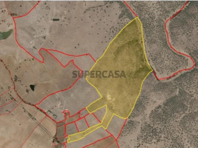 Herdade em Fronteira Portalegre