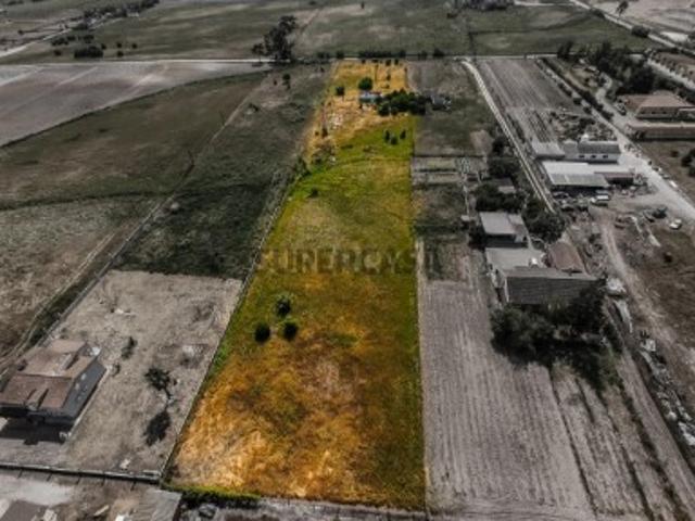 Herdade em Pegões Foros do Trapo