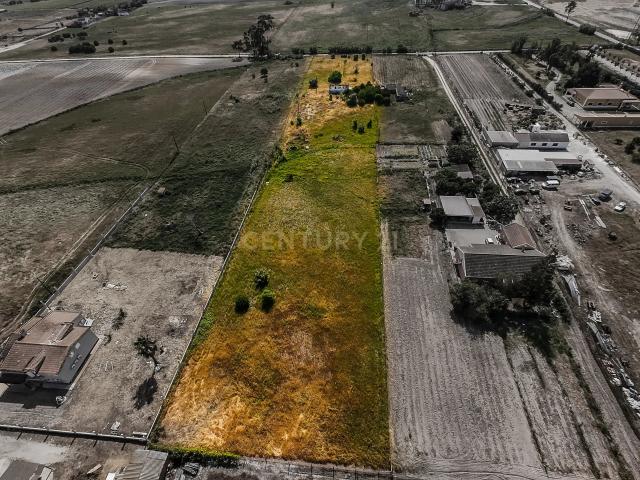Herdade em Pegões Foros do Trapo