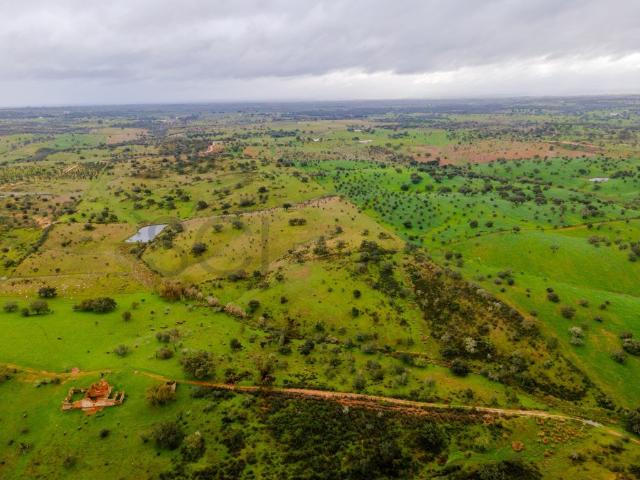 Herdade em Vila Nova de São Bento | 172 hectares 215m² Aldeia Nova De São Bento