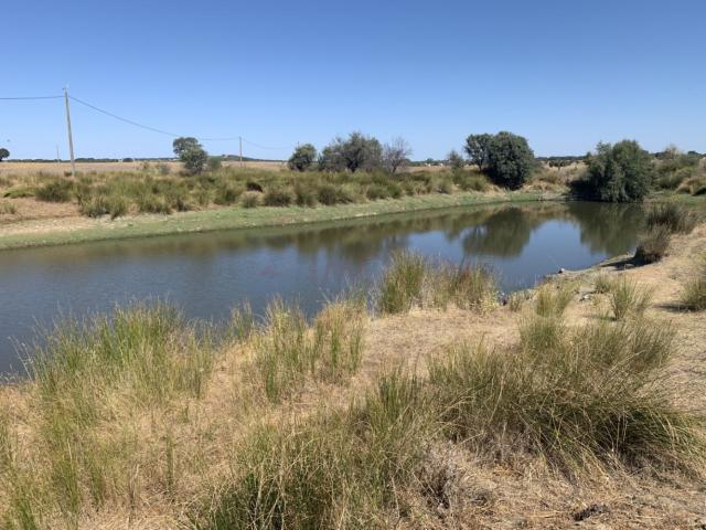 Herdade em Vimeiro, Arraiolos