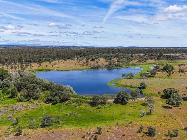 Herdade Ganadeira com 193 ha no Crato, Alentejo 195m² Monte Da Pedra