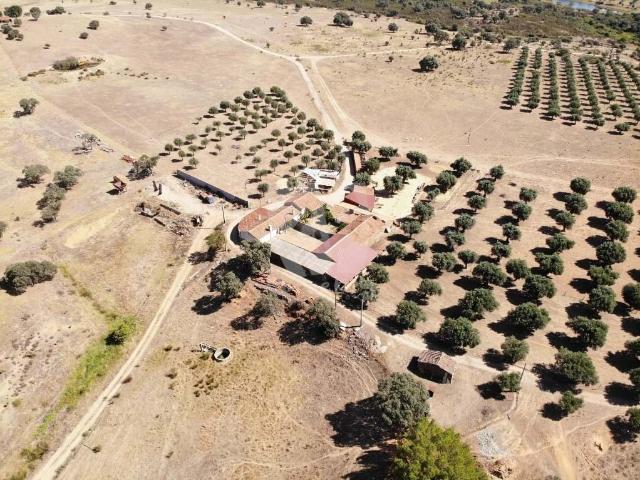 Herdade Granja Fundeira Herdade com um total de 56 hectares 560.000 m2 perto de Escalos de Baixo, Castelo Branco