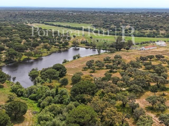 Herdade histórica com 453 ha em Grândola 52m² Azinheira Dos Barros E São Mamede Do Sádão
