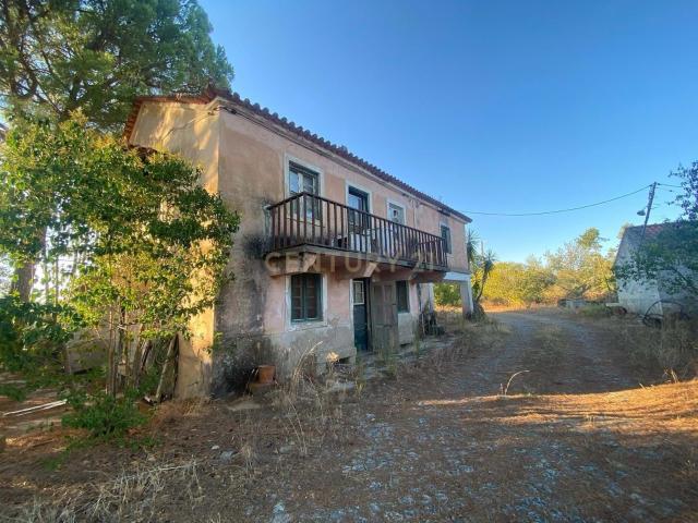 Herdade, Lousa, Castelo Branco