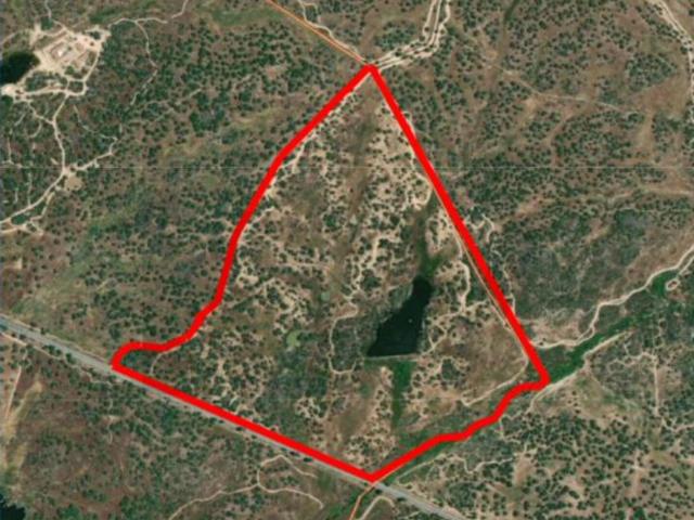 Herdade para Turismo rural com 35 hectares em Pavia Mora