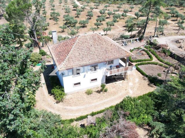 Herdade para Venda em Castelo Branco